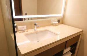 a bathroom with a sink and a mirror at Hotel Skypark Central Seoul Pangyo in Seongnam