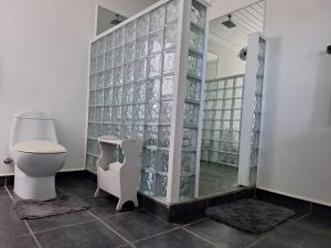 a bathroom with a toilet and a glass wall at Nature's View - Dana Bay in Mossel Bay