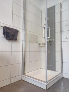 a shower with a glass door in a bathroom at Ferienwohnung Kessler Hohentengen in Hohentengen