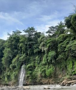 a waterfall in the jungle next to a river at Driver tour Borobudur, Rice Terace & hiden scared waterfall in Blaburan