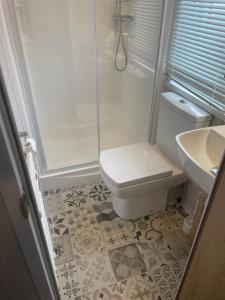 Et badeværelse på Enlli Beach View Hafyn y Môr + 9 billeder