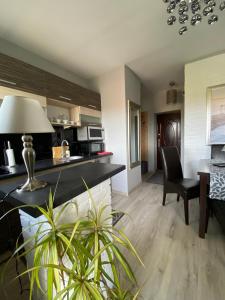 Η κουζίνα ή μικρή κουζίνα στο Piastowska Home