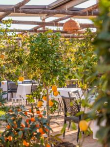 an orange tree in an orchard with tables and chairs at Boutique Hotel Casa Mariantonia in Anacapri