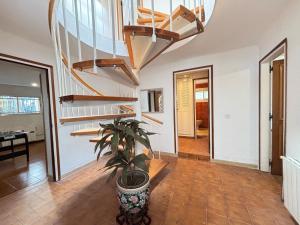 a potted plant in a room with stairs at Villa Amparo con piscina privada in Calafell +51 photos