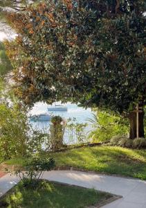 Κήπος έξω από το Eden Rock - Paradise by the Sea - Private Beach +3 φωτογραφίες