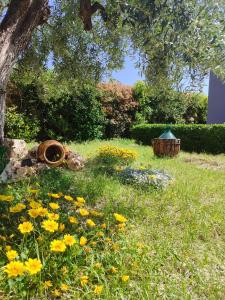 Zahrada ubytování B&B L'ULIVO