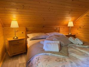 a bedroom with two beds in a log cabin at Počitniška hiša z dvema spalnicama Sauna & Jacuzzi in Gorica pri Slivnici
