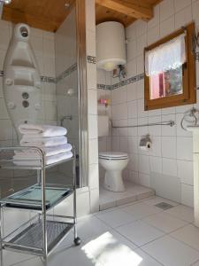 a bathroom with a shower and a toilet at Počitniška hiša z dvema spalnicama Sauna & Jacuzzi in Gorica pri Slivnici +23 photos