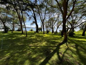 Gallery image of Elsamere Lodge Naivasha in Naivasha