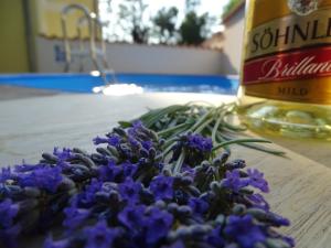 Nápoje v ubytování Contemporary Holiday Home in Dramalj with Swimming Pool