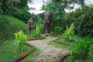 Zahrada ubytování 3 Pok Maewang jinxiang Gold elephant park + 5 fotografií