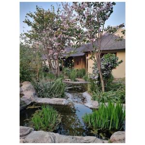 センチュリオンにあるIdle Winds Lodge and Conference Centreの家の前に池のある庭