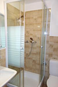 a bathroom with a shower and a toilet and a sink at Melezes K 010 - SKI & NATURE apartment 6 pers in Veysonnaz