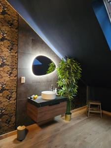 a bathroom with a sink and a potted plant at Le Duché de Godefroy in Bouillon +53 photos