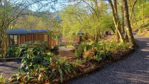 a garden with a small building in the middle of a road at Logde premium Cagire in Aspet