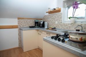 Kuchyň nebo kuchyňský kout v ubytování Apartma ''Pri Movernu''
