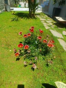 A garden outside Sunrise Apartment 2