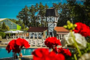 Bazén v ubytovaní Hotel Selena Family Resort alebo v jeho blízkosti
