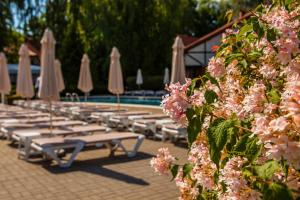 Bazén v ubytovaní Hotel Selena Family Resort alebo v jeho blízkosti