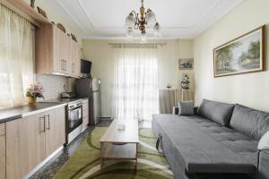 a living room with a couch and a kitchen at Tom's House in Tríkala
