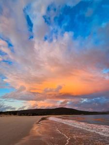Naturlandskabet i nærheden af lejligheden