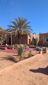 Fotografie z fotogalerie ubytování Kasbah Desert Camp v destinaci Mhamid