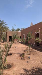 Zahrada ubytování Kasbah Desert Camp