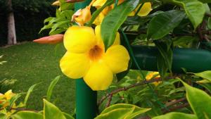 Galeriebild der Unterkunft Snug Bungalow - 4 people - Pool - SuperHost in Mala