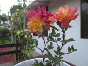 Galeriebild der Unterkunft Snug Bungalow - 4 people - Pool - SuperHost in Mala + 10 Fotos