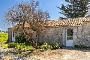 a stone house with a tree in front of it at L’Échappée du Port - Grand Jardin in Bouin
