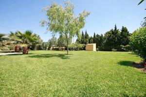 Fotografie z fotogalerie ubytování Casa De Arcos Alcudia Mallorca v destinaci Alcúdia