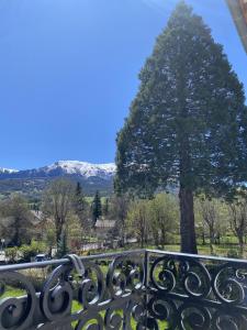 La Villa Madeleine في جوسيير: شجرة خلف سياج مع شجرة