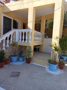 Zahrada ubytování Dimitris House Petriti