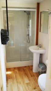 a bathroom with a glass shower and a sink at Camping Alkenhaer Appelscha Chalet 034 in Appelscha