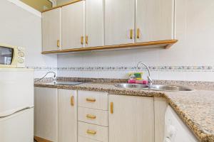 eine Küche mit Spüle und Kühlschrank in der Unterkunft Apartamentos Tamarindos in Benalmádena