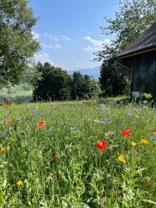 Billede fra billedgalleriet på Berghüsli Heiterswil i Wattwil