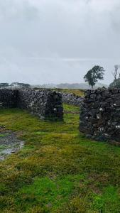 a stone wall with a tree in a field at Almorão in São Francisco de Paula