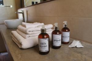 a bathroom counter with two bottles of soap and towels at Complejo Piuquenes Valle de Uco in Vista Flores +61 photos