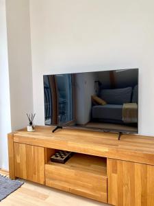 a television sitting on top of a wooden entertainment center at Apartment Iris in Bohinj +18 photos