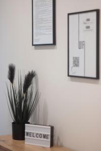 a potted plant sitting on top of a table at Becky Apartman in Komló