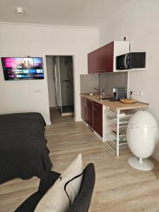 a living room with a couch and a kitchen at Ferienwohnung an der Alten Posthalterei in Bautzen