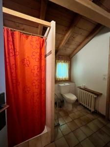 a bathroom with a toilet and a red shower curtain at Gîte rural La Grange en pleine nature à La Pesse in La Pesse +54 photos