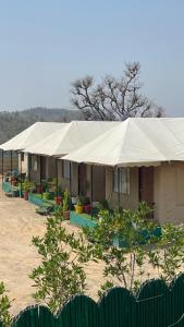 Un edificio con una gran carpa en el desierto. en Bambooz Bell cottage and camps I Kasauli I Lake View & Trekking, en Kasauli
