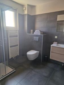 a bathroom with a toilet and a sink at la taverne forezienne in Saint-Sixte