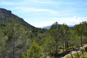Hotel Finca Fabiola