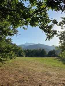 a view of a field with mountains in the background at Camping Les Prairies in Scata