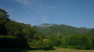 a field with trees and mountains in the background at Camping Les Prairies in Scata