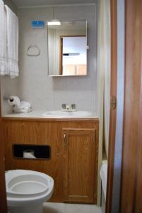 Un baño con inodoro, lavabo y espejo. en Redwood Motel, en Bridgeport
