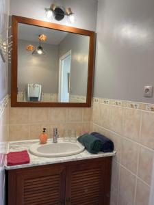 a bathroom with a sink and a mirror at Chambres et Gîte PEYROUTAS " CAMILLE" Vignonet St Emilion in Vignonet