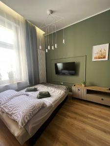 una camera da letto con un letto e una TV a schermo piatto di GREEN Apartment 2 a Poznań